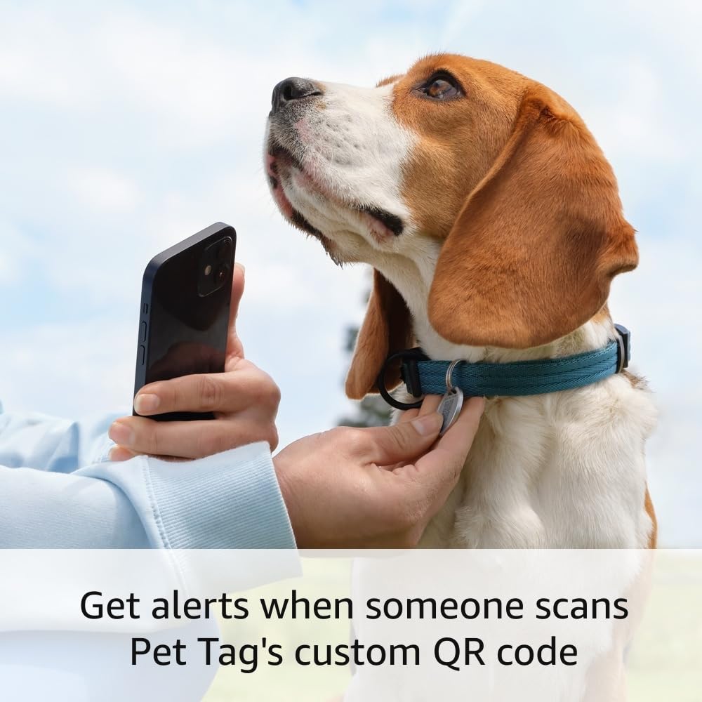 2 Ring Indoor Cam (2nd Gen), White with 2 Ring Pet Tag
